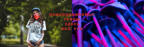 герыч Сафоново