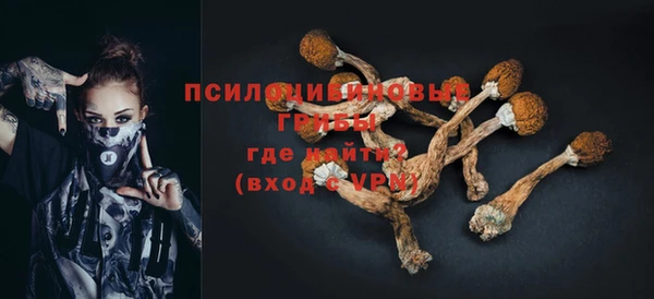 тгк Алексеевка