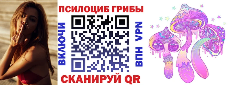 кракен онион  Еманжелинск  darknet официальный сайт  Псилоцибиновые грибы Psilocybe 